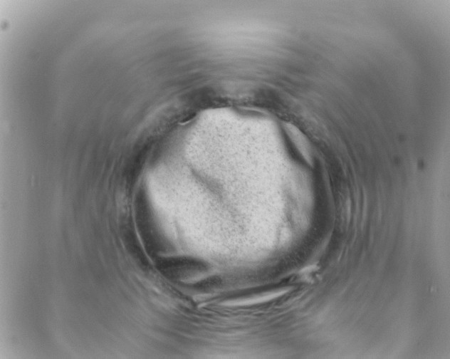 X0000089430609200707061345