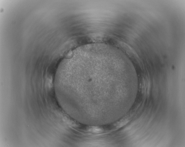 X0000089430610200707061345