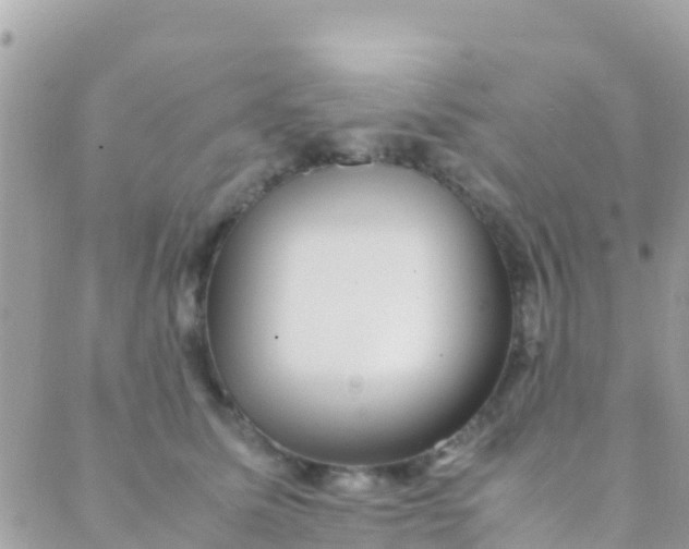 X0000089430611200707061345