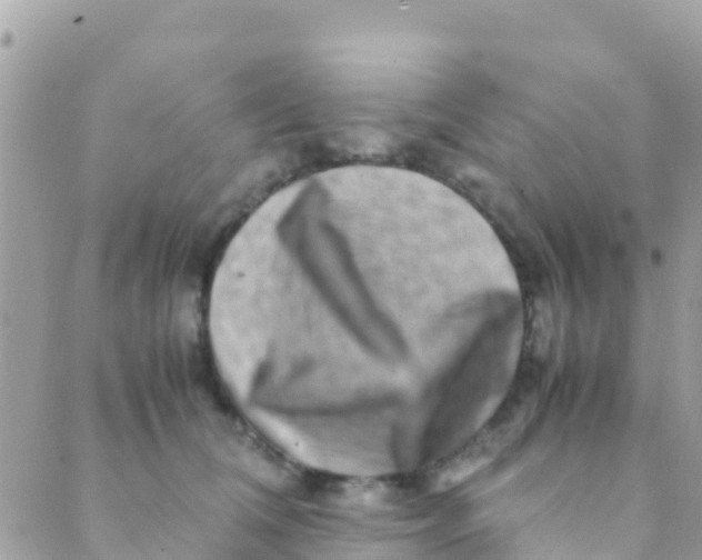 X0000089430612200707061345