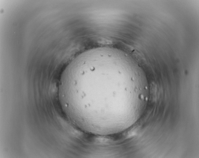 X0000089430614200707061345