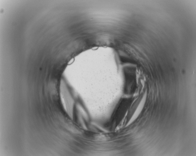 X0000089430616200707061345