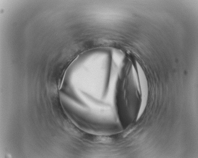 X0000089430617200707061345