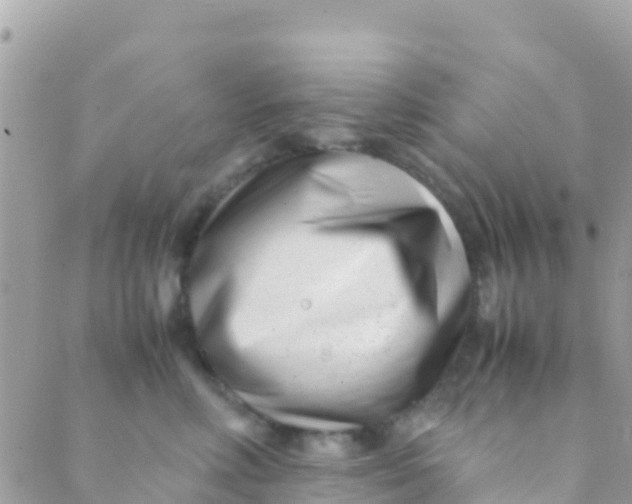 X0000089430618200707061345