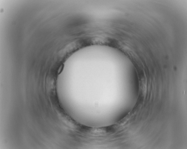 X0000089430619200707061345