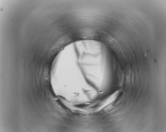 X0000089430620200707061345