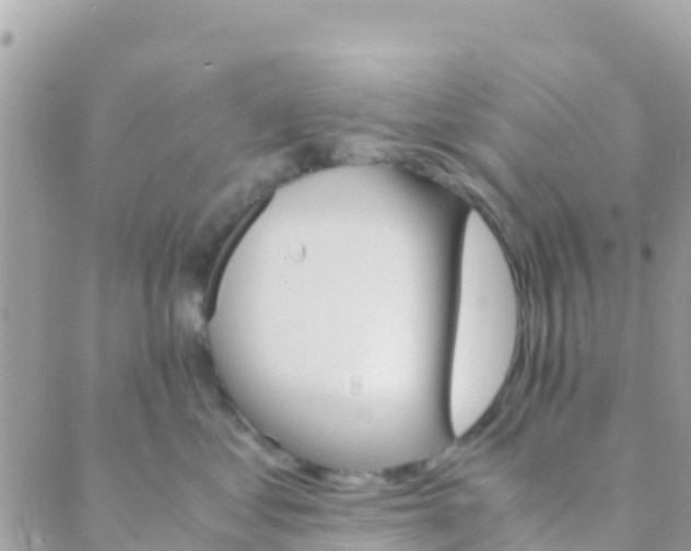 X0000089430621200707061345