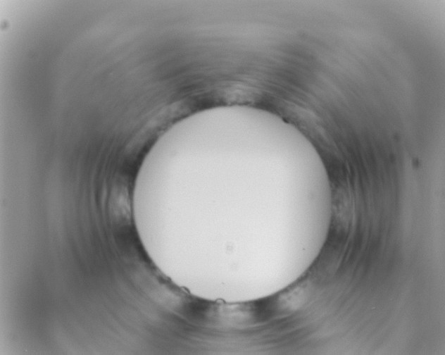 X0000089430622200707061345