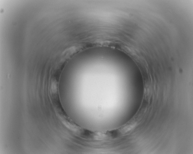 X0000089430623200707061345