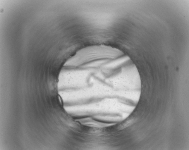 X0000089430624200707061345