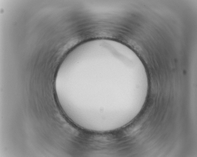 X0000089430625200707061344