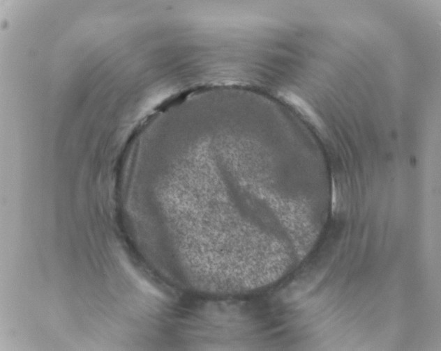 X0000089430627200707061344