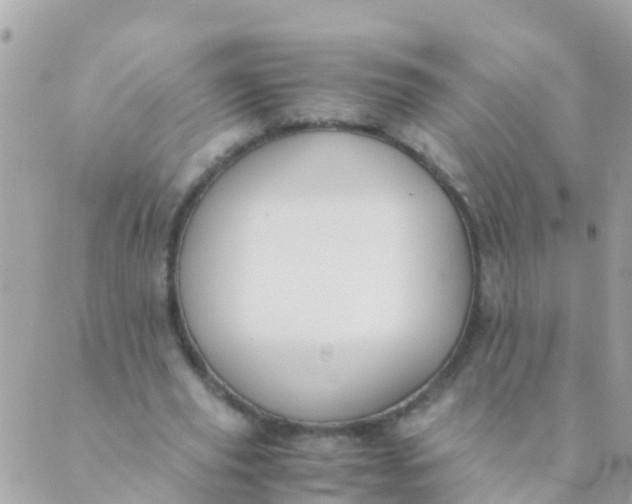 X0000089430629200707061344