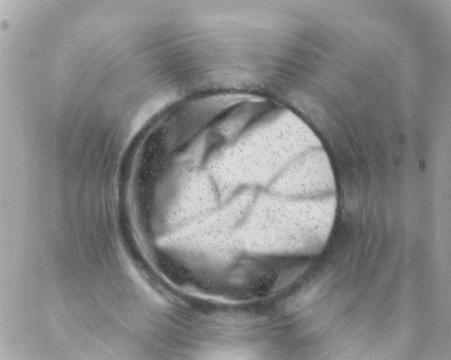 X0000089430630200707061344