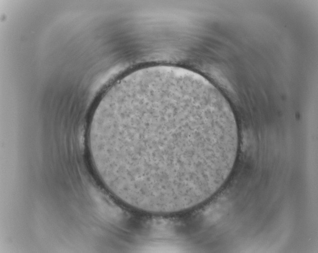 X0000089430632200707061344