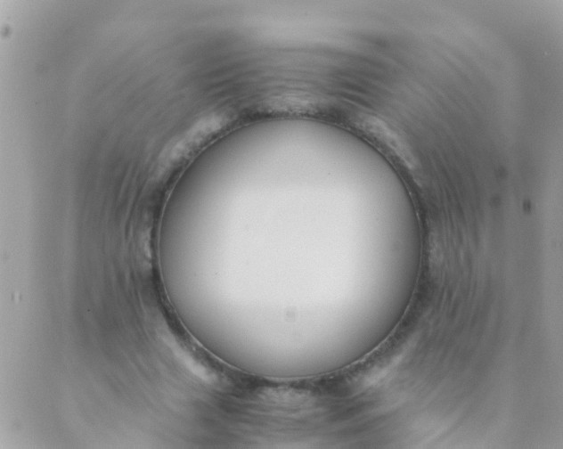 X0000089430633200707061344