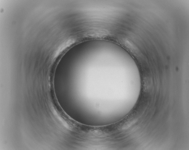 X0000089430634200707061344