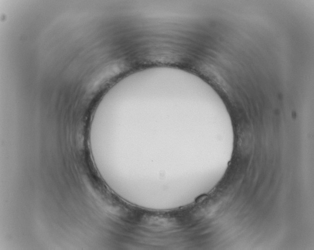 X0000089430635200707061344