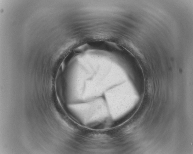 X0000089430637200707061344