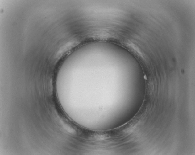 X0000089430638200707061344