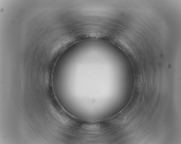 X0000089430639200707061344