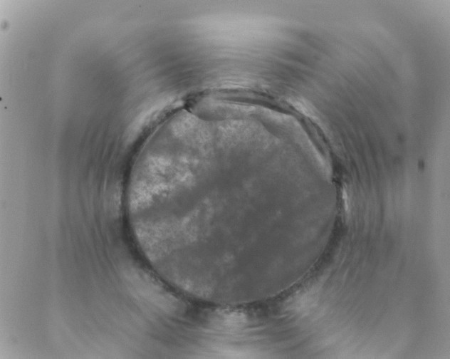 X0000089430640200707061344