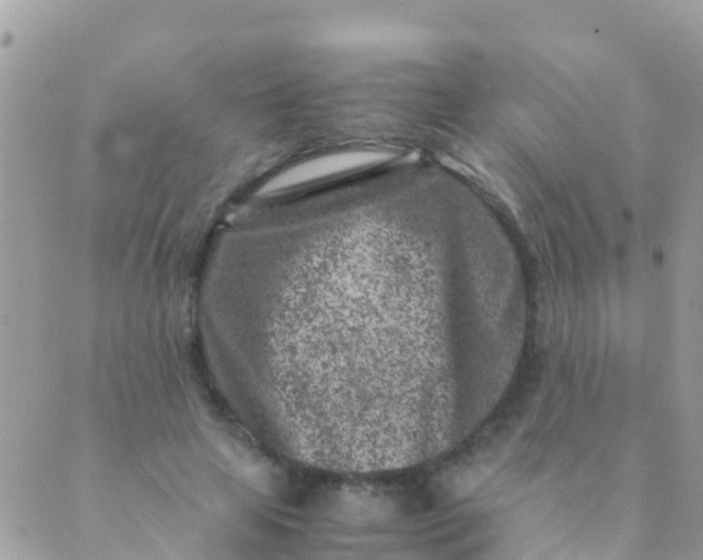 X0000089430641200707061344