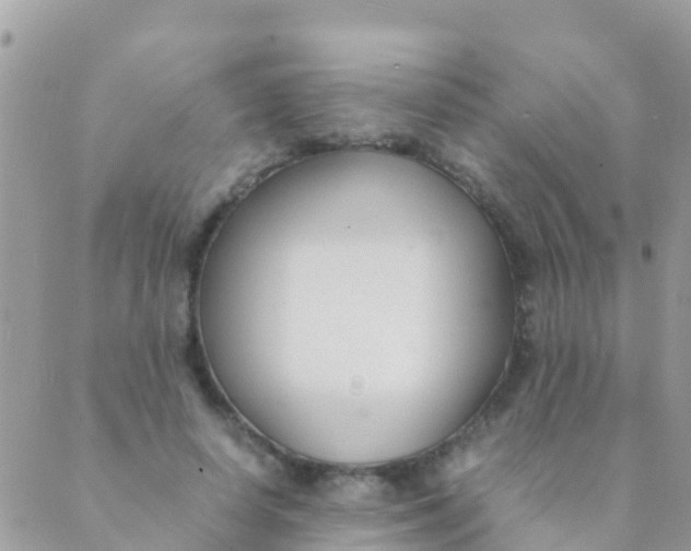 X0000089430642200707061344