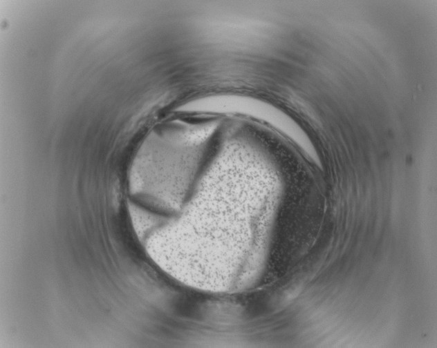 X0000089430644200707061344