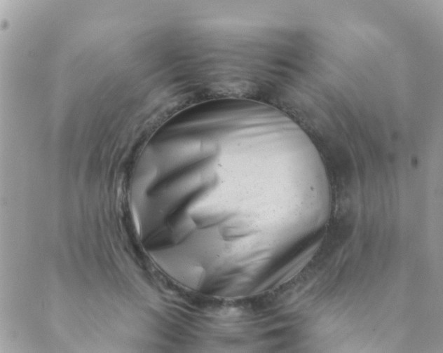 X0000089430647200707061345