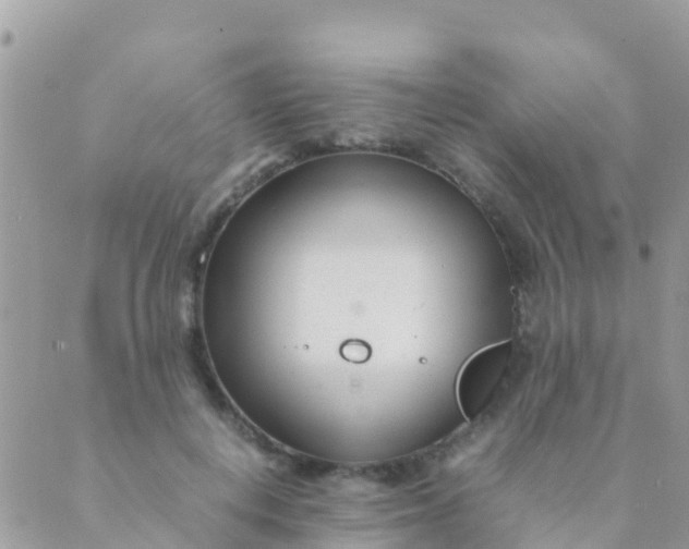 X0000089430648200707061345