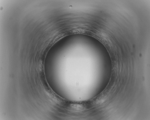 X0000089430649200707061345