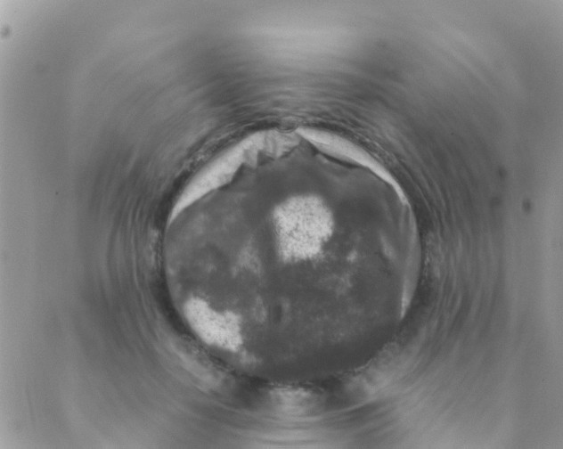 X0000089430650200707061345