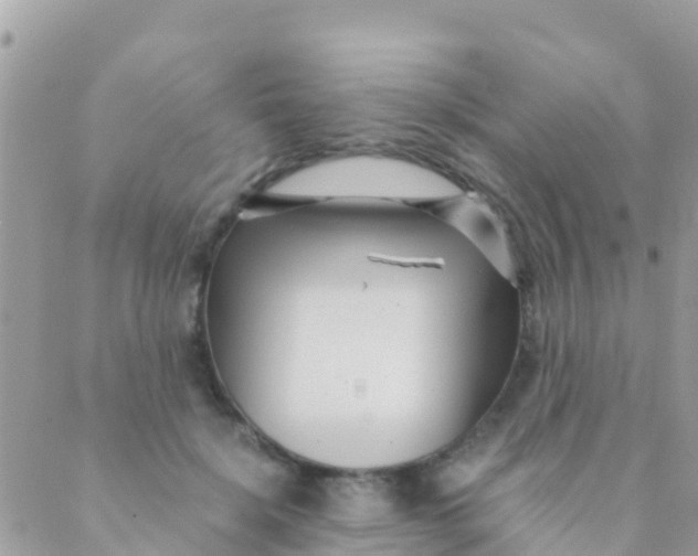 X0000089430652200707061345