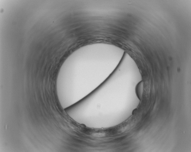 X0000089430653200707061345