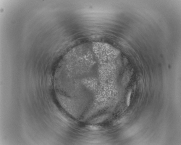 X0000089430654200707061345