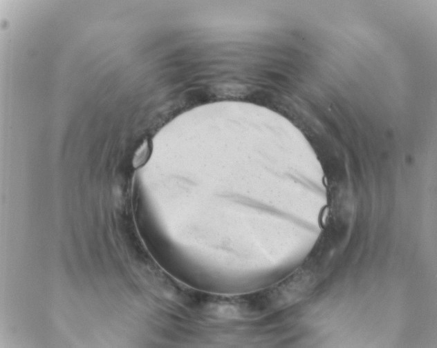 X0000089430655200707061345