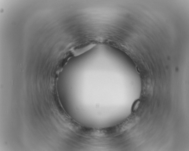 X0000089430656200707061345