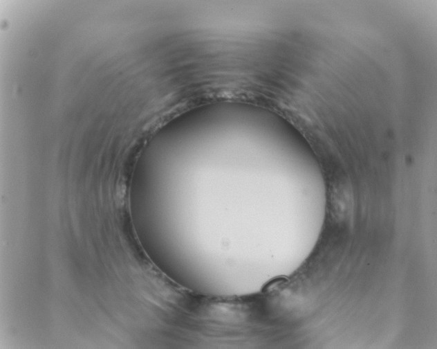 X0000089430657200707061345