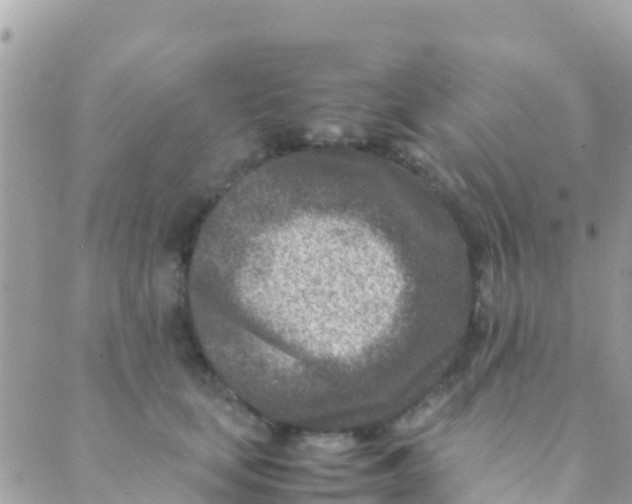 X0000089430659200707061345