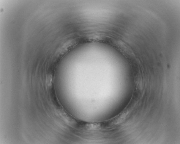 X0000089430660200707061345