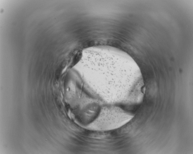 X0000089430661200707061345