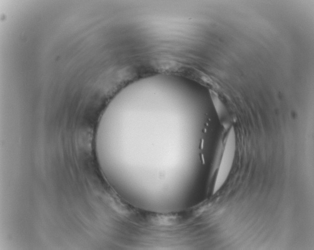 X0000089430664200707061345