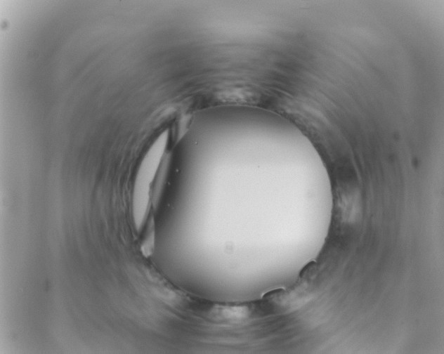 X0000089430665200707061345