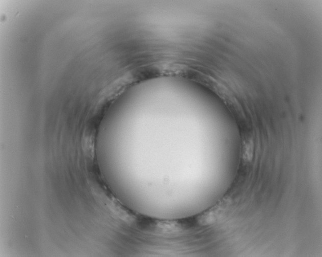 X0000089430666200707061345