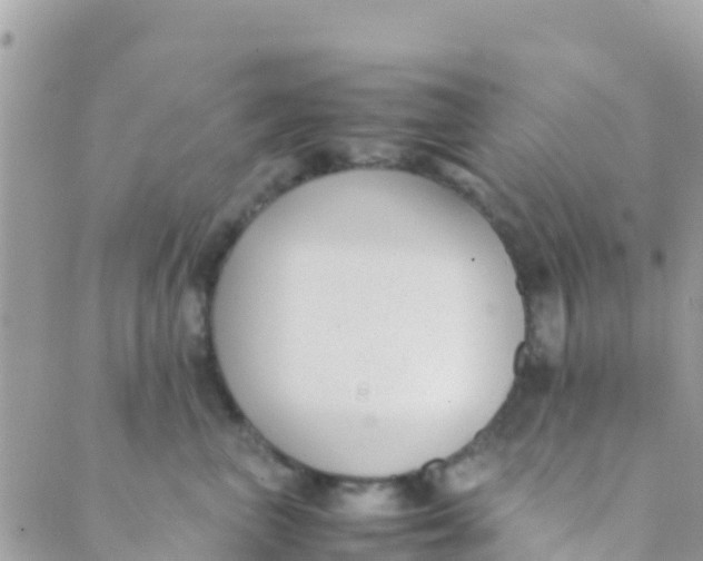 X0000089430667200707061345