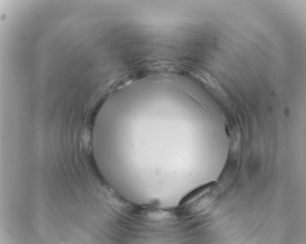 X0000089430669200707061345