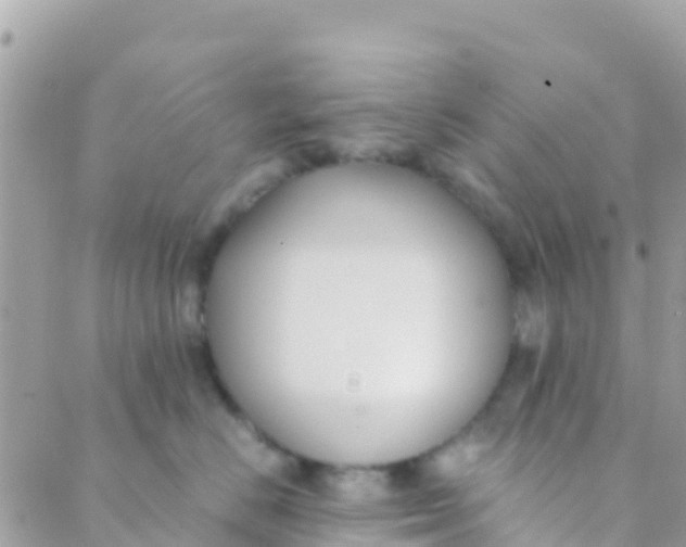 X0000089430670200707061345