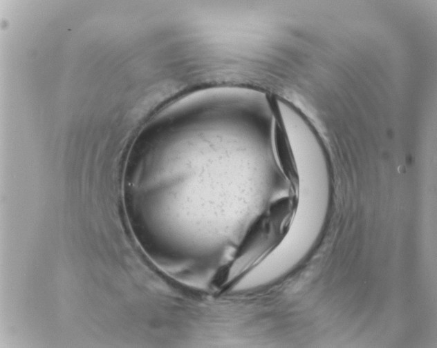 X0000089430673200707061344