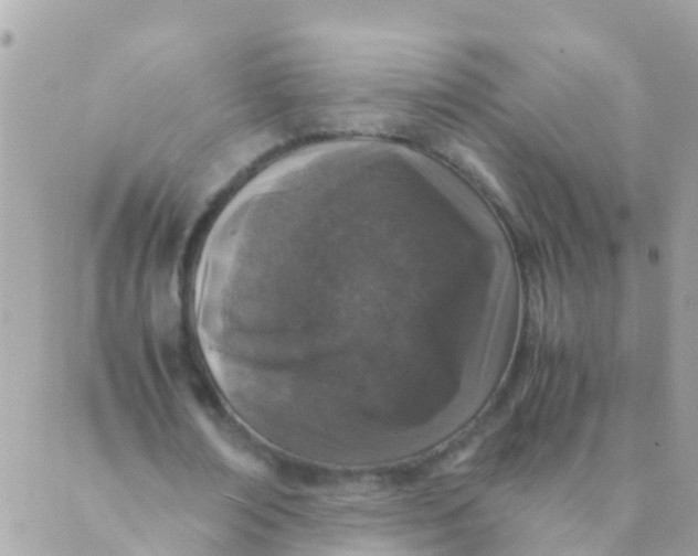 X0000089430674200707061344